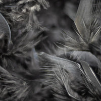 Chandelle Feather Boa - Medium Weight - Black