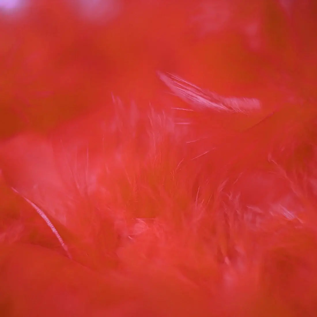 Chandelle Feather Boa - Medium Weight - Red